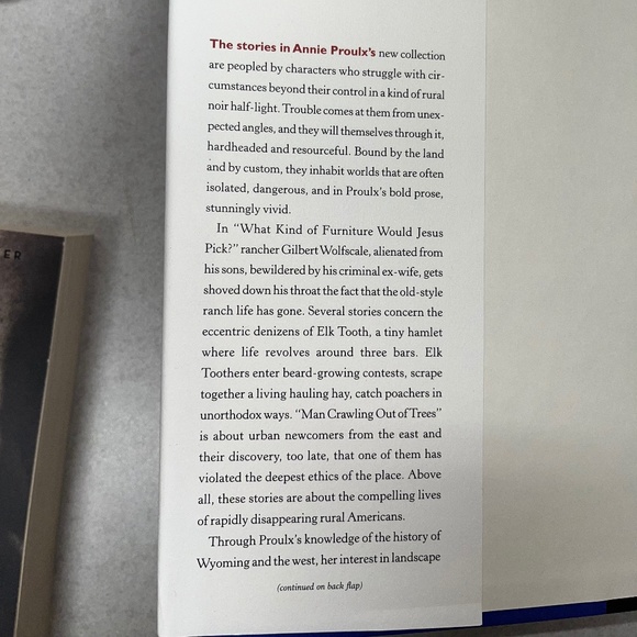 ANNIE PROULX, BAD DIRT: THE WYOMING STORIES 2, 2002, hardcover. - Picture 2 of 4
